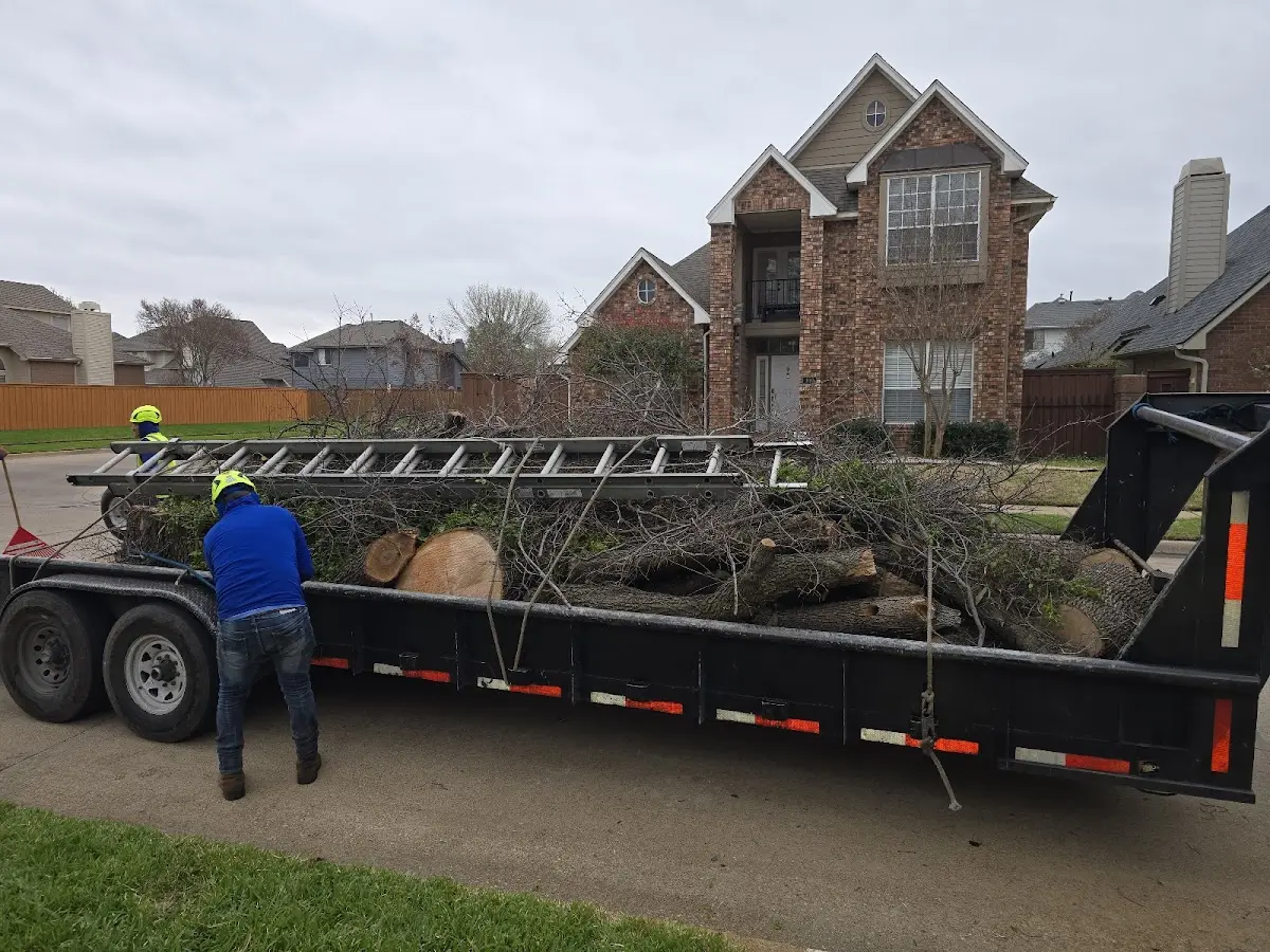 Expert Lot Clearing with proper safety equipment in Stout